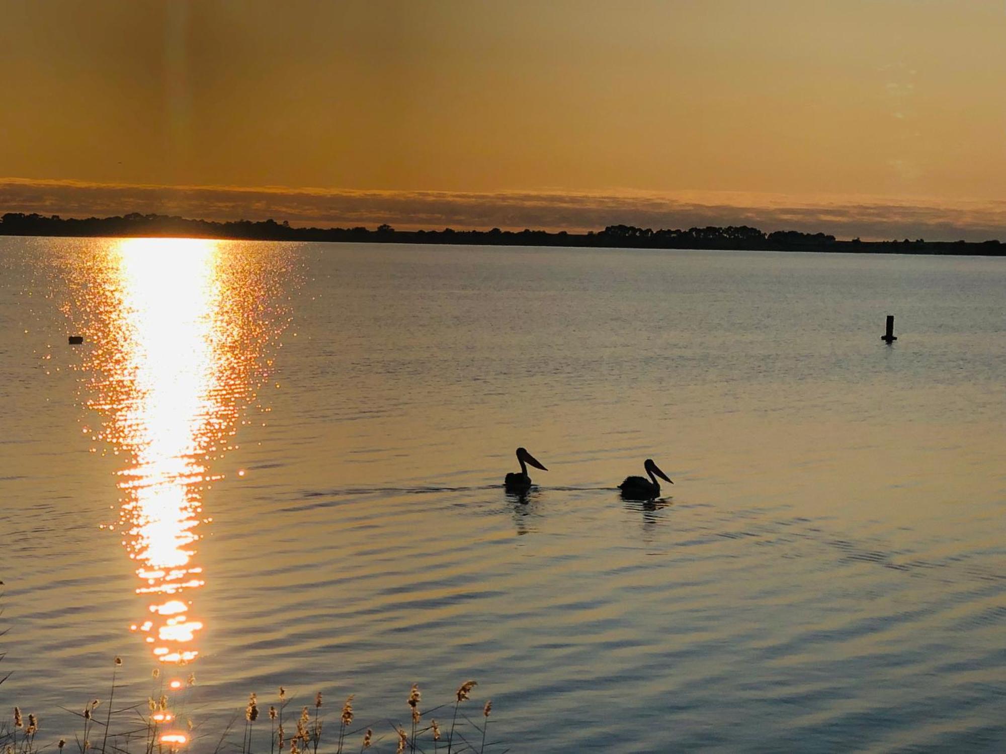 Lake Boga Caravan Park Екстер'єр фото