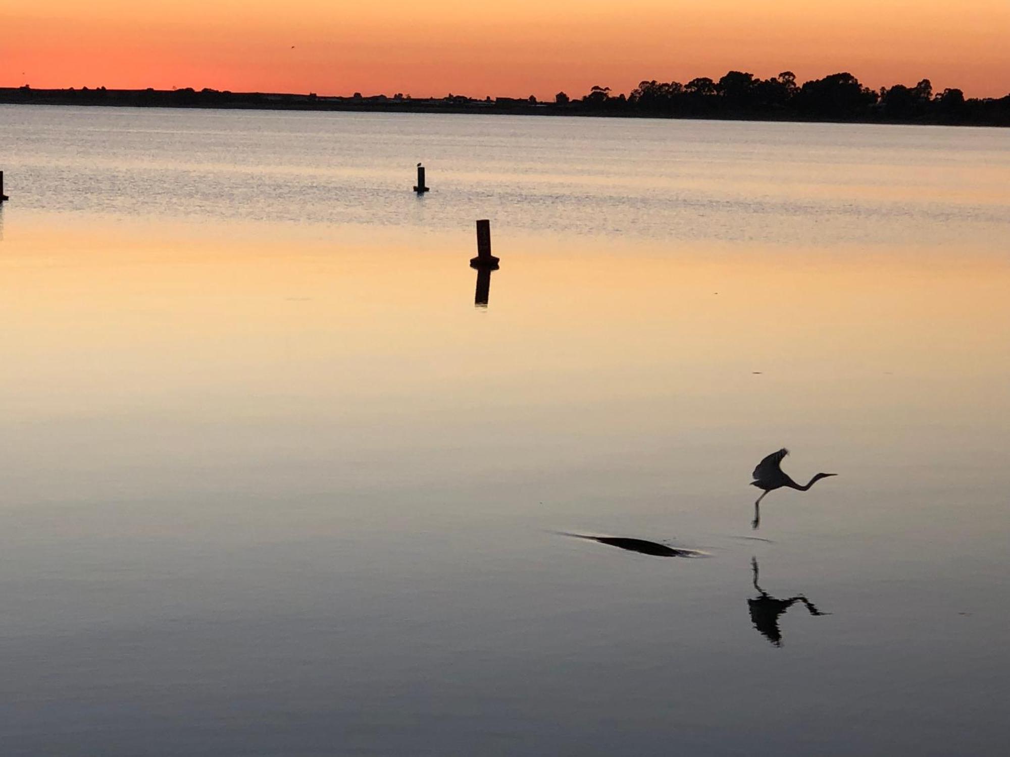 Lake Boga Caravan Park Екстер'єр фото